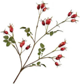 Kunstbloem-Zijden Bloem-Kunsttak Rozenbottel Tak Rood 67 cm