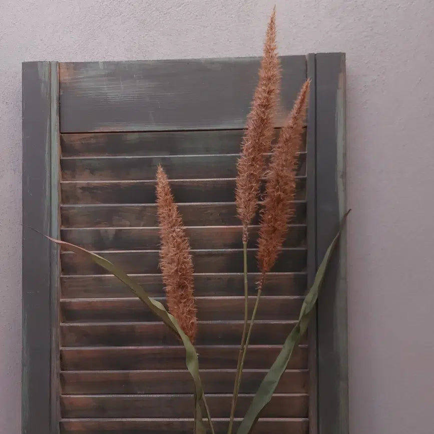 Pennisetum oranje 94cm