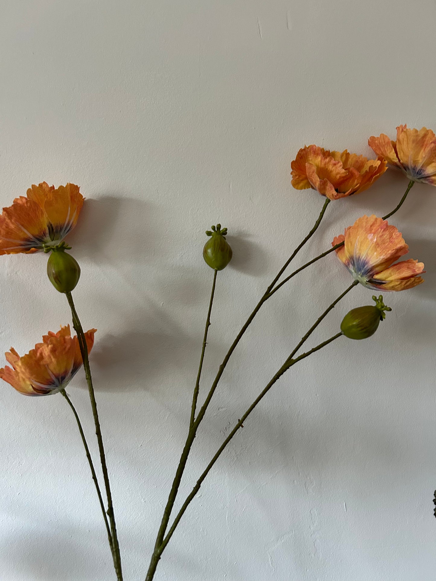 Zijdenbloem Klaproos - Oranje