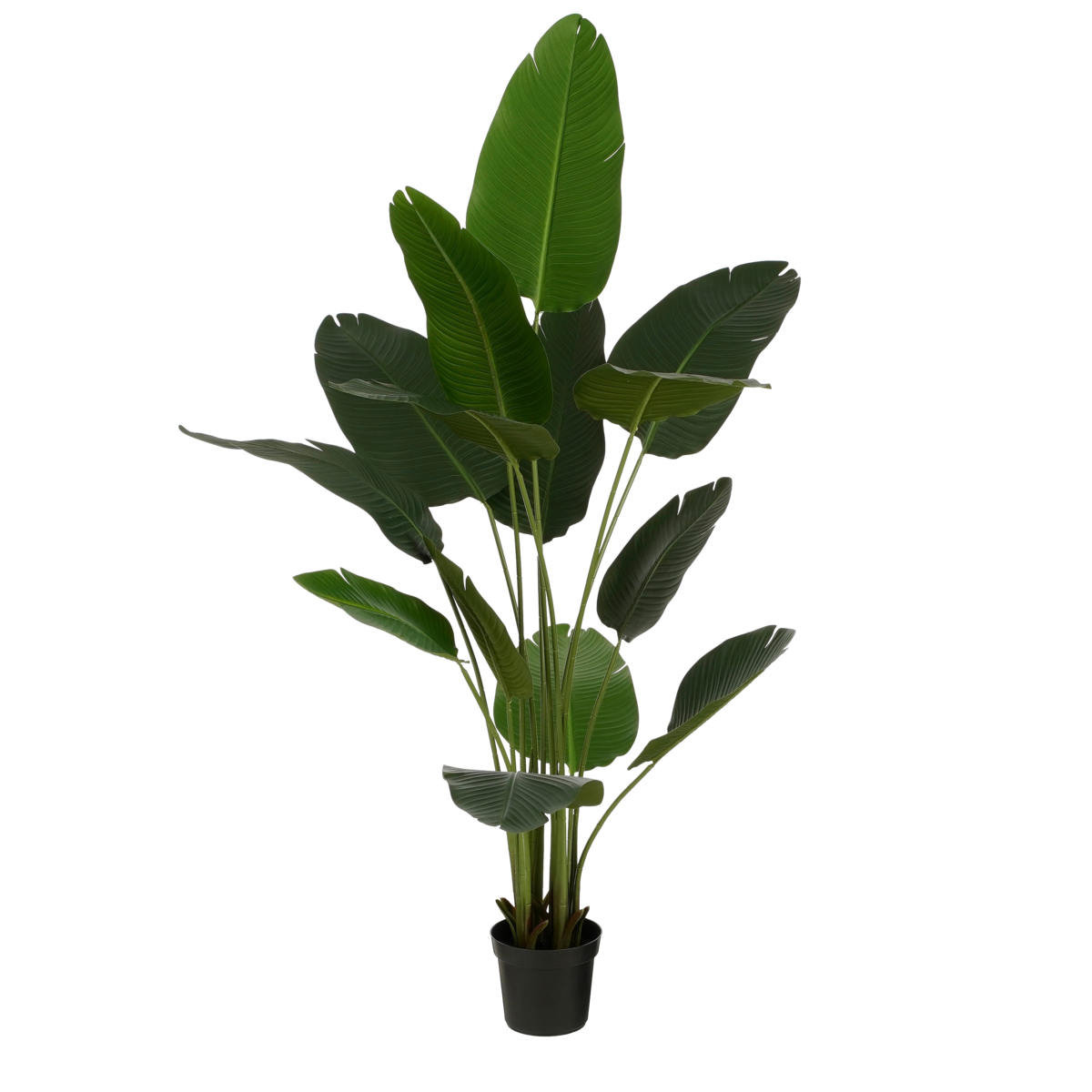 Kunstplant Bananenboom in Pot - H180 x Ø30 cm - Groen