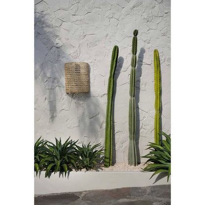 De SiriKit Wandlamp - Natuurlijk