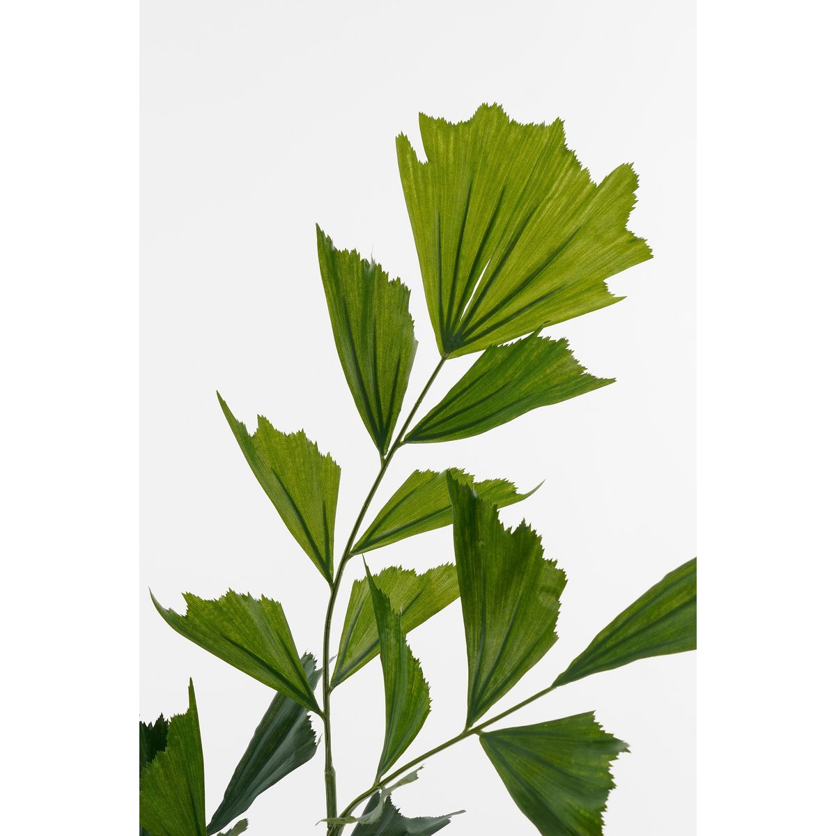 Vissenstaart Palm Kunstplant in Pot - H150 x Ø100 cm - Groen