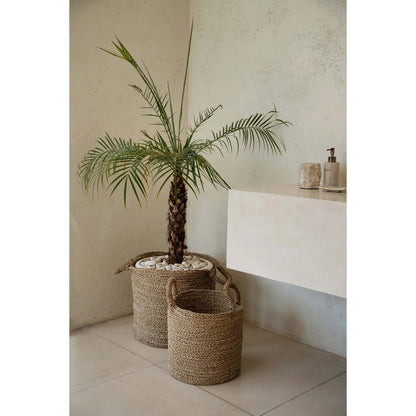 The Sensity Baskets - Natural - XL