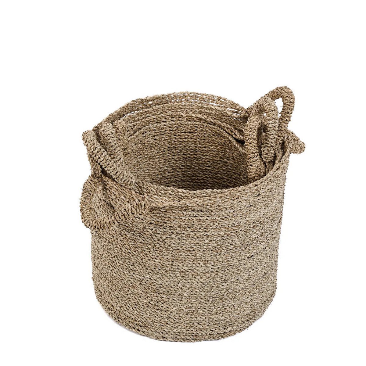 The Sensity Basket M