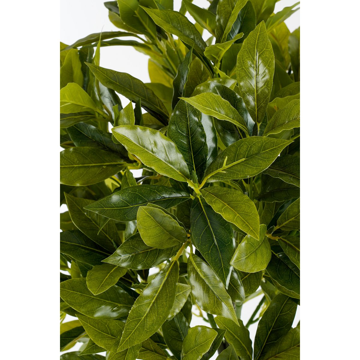 Laurierboom Kunstplant - H120 x Ø40 cm - Groen
