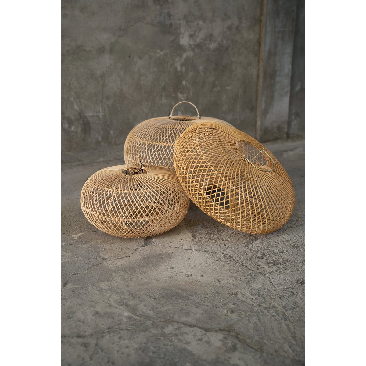 The Wholly Hanger - M