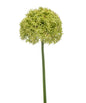 Kunstbloem Allium XL groen 90cm