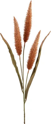 Pennisetum oranje 94cm