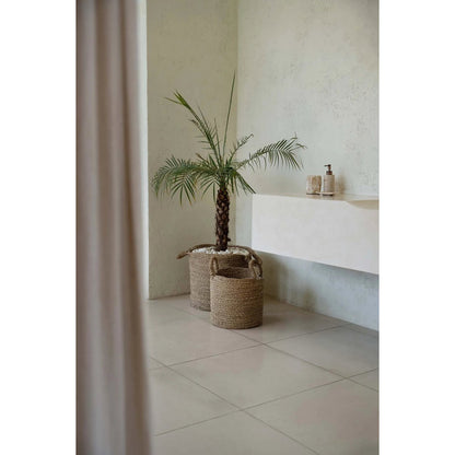 The Sensity Basket S