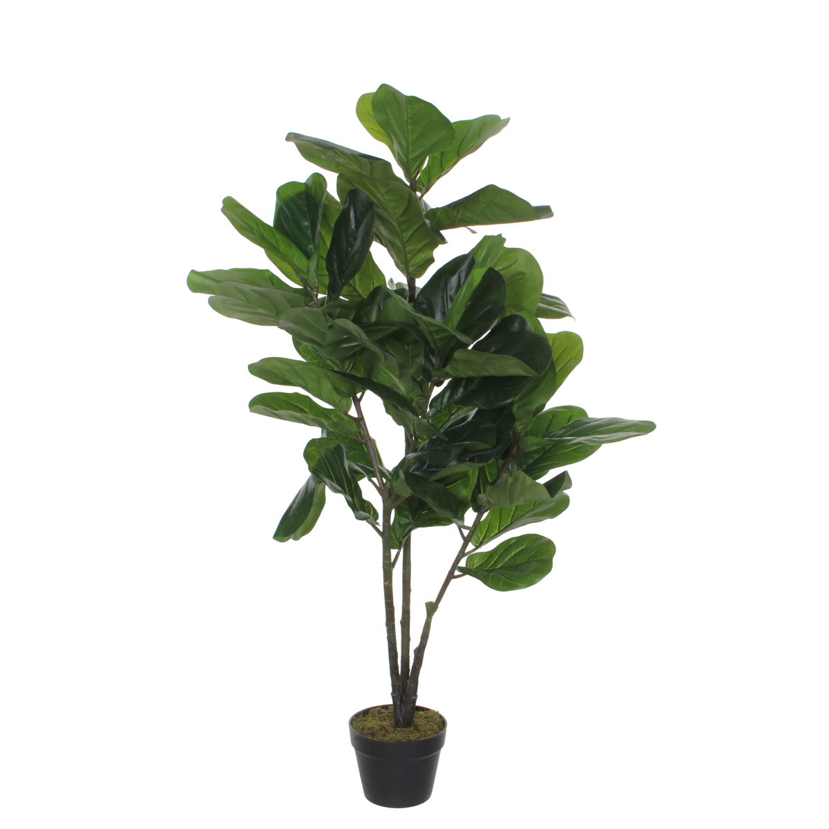 Ficus Lyrata Kunstplant - H120 x Ø60 cm - Groen