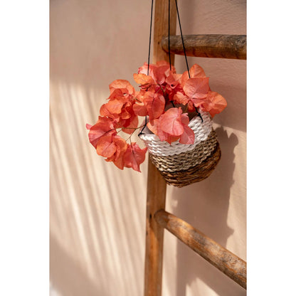 De Bananenplanthanger - Naturel Wit - S