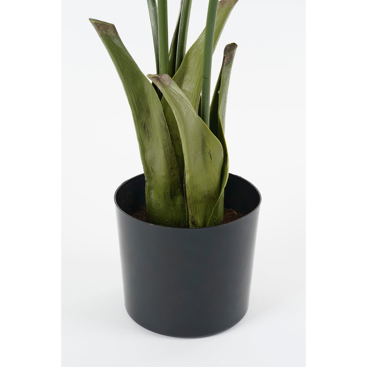 Vissenstaart Palm Kunstplant in Pot - H150 x Ø100 cm - Groen