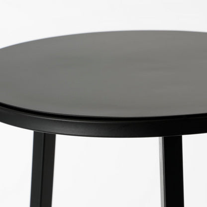Adine Plantentafel - H80 x Ø30 cm - Metaal - Zwart