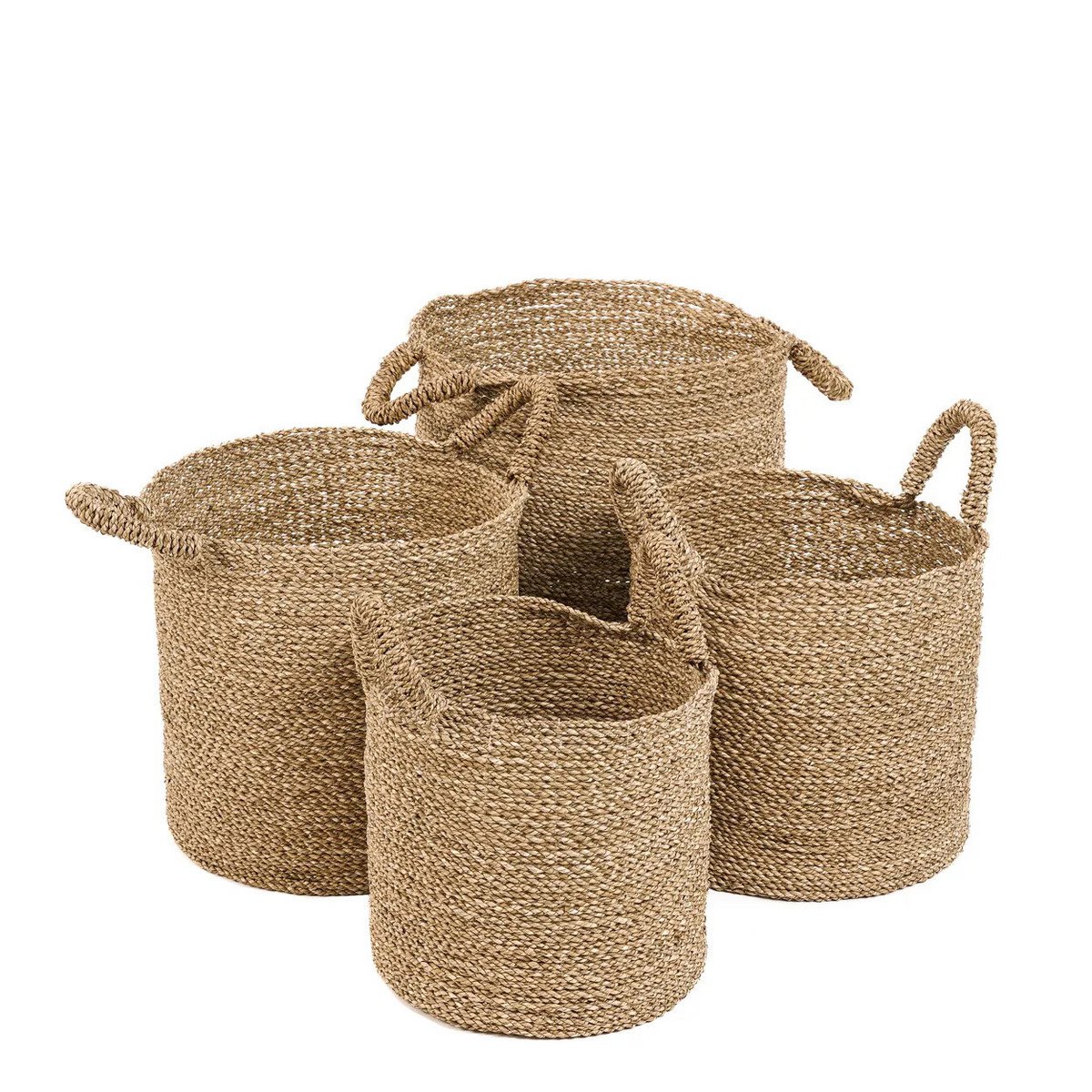 The Sensity Basket M