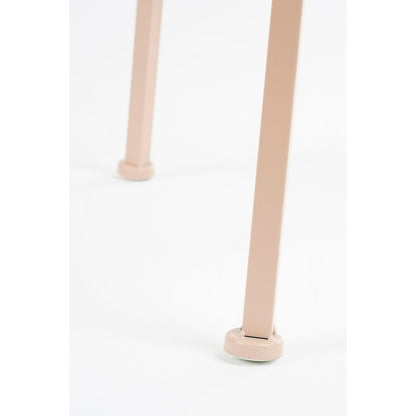 Adine Plantentafel - H120 x Ø35 cm - Metaal - Lichtroze
