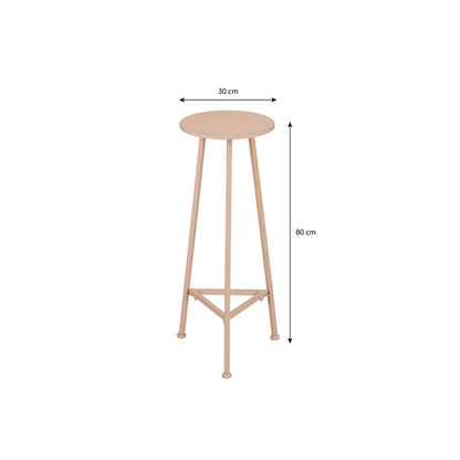 Adine Plantentafel - H80 x Ø30 cm - Metaal - Lichtroze