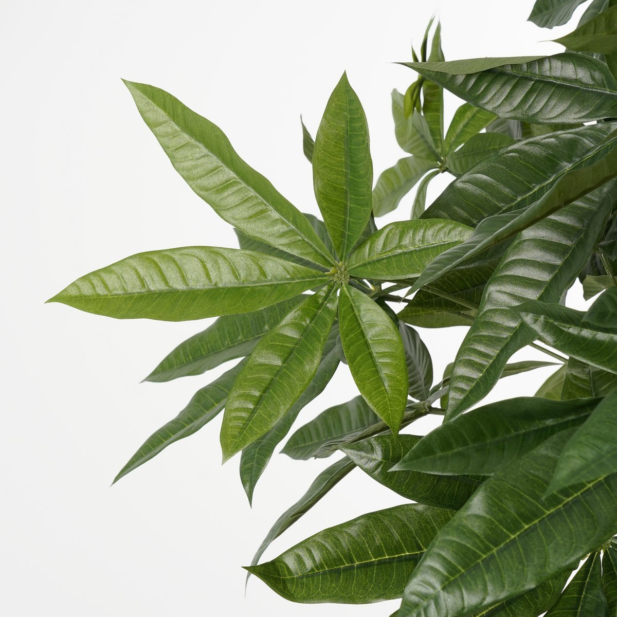 Pachira Kunstplant - H120 x Ø50 cm - Groen