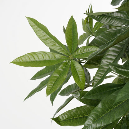 Pachira Kunstplant - H120 x Ø50 cm - Groen