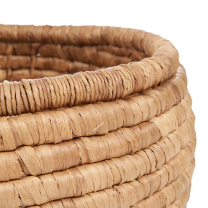 De Sarvatah-mand - naturel